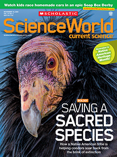 Science World cover image