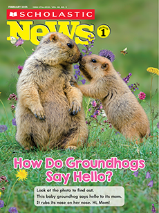 Scholastic News 1 cover image