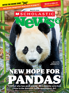 Scholastic News 4 cover image