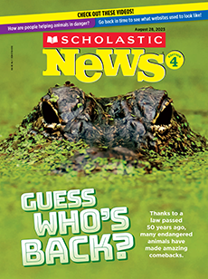 Scholastic News 4 cover image