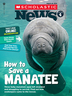 Scholastic News Magazine on Behance