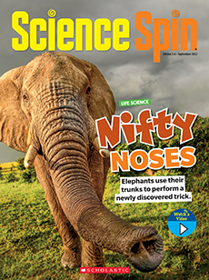 Science Spin 3-6 cover image