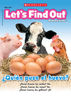 Let's Find Out (Spanish) cover image