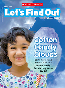 Let's Find Out cover image