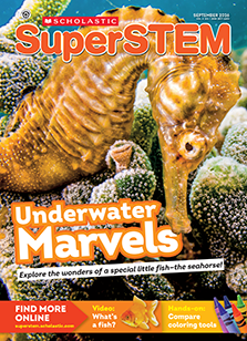 SuperSTEM cover image